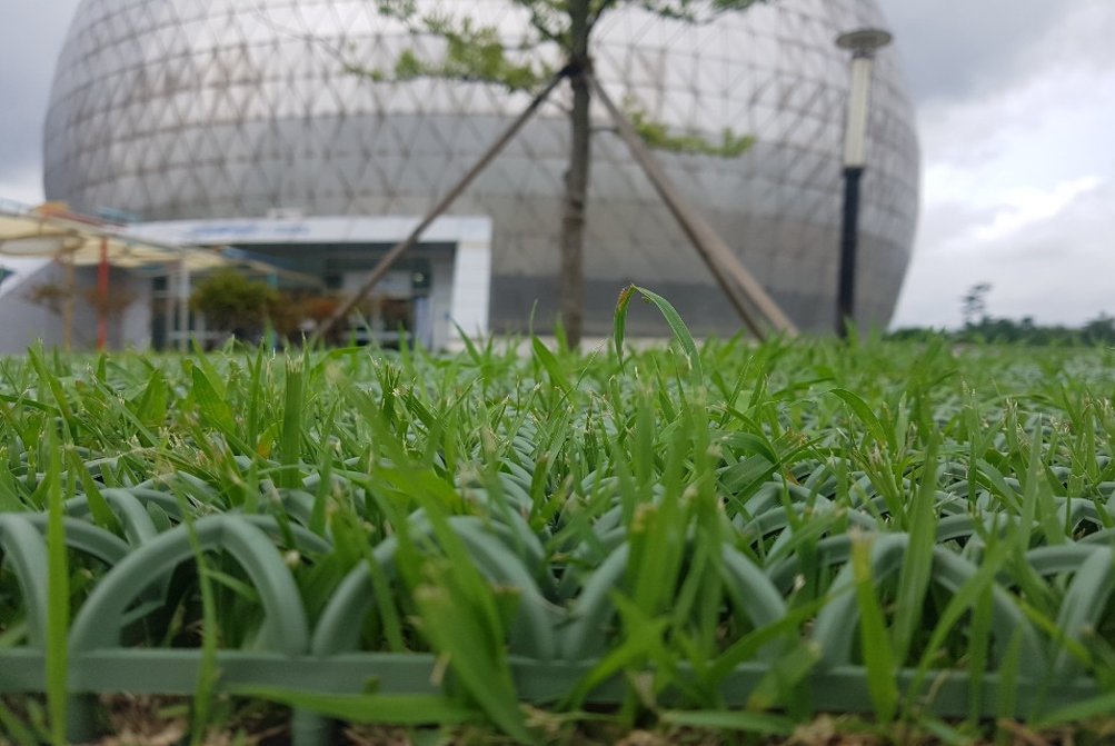 타사제품 침하 후 사진