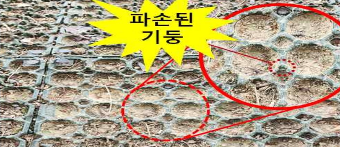 세척 전/초기 상태 이미지