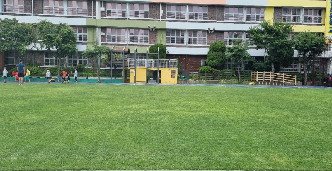 세척 전/초기 상태 이미지