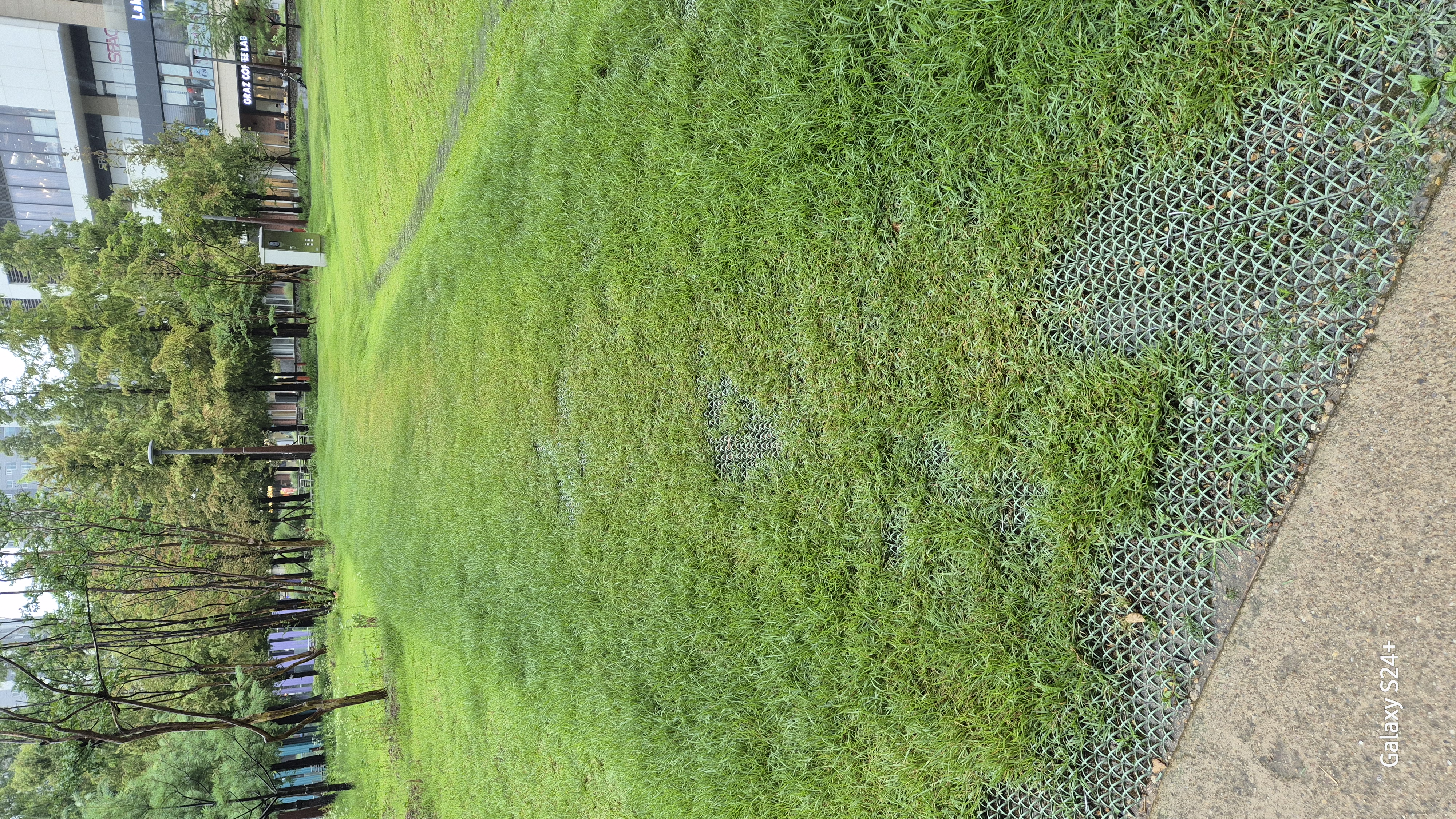 동탄호수공원 보행길