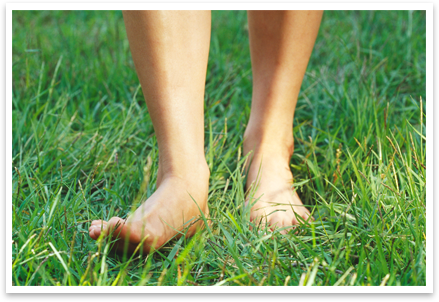 Aerial view of suburban landscape