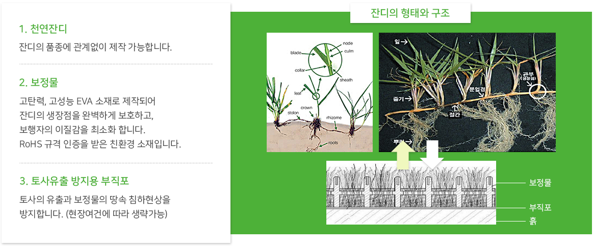 Aerial view of suburban landscape