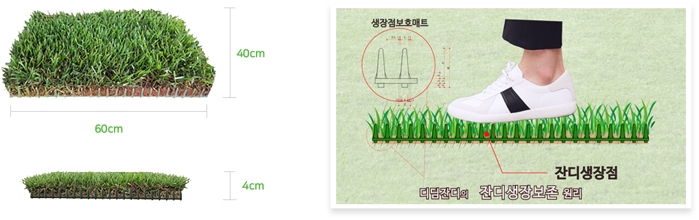 Aerial view of suburban landscape